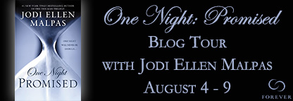 One-Night-Promised-Blog-Tour[1][1]